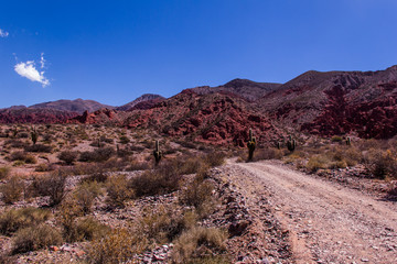 Treeking in Quebrada de las Señoritas close to Humahuaca - Salta Province in north of Argentina