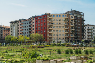 Urban farming sustainability concept, captured in Milan, Lombardy, Italy.