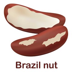 Brazil nut icon. Realistic illustration of Brazil nut vector icon for web design isolated on white background