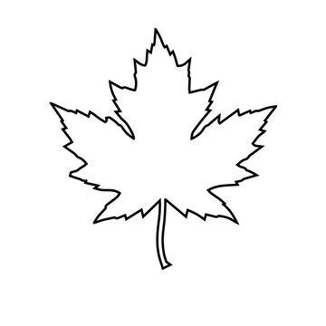icon of a maple leaf. raster illustration