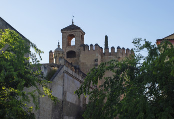Fototapeta na wymiar Alcázar de los Reyes Cristianos. Córdoba