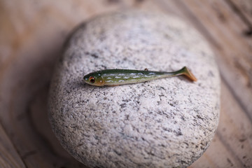 Wędkarstwo © Rafal Kucharek