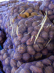 A bag of raw and dirty potatoes. A plastic grid of raw white potatoes.