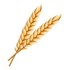 Wheat icon. Realistic illustration of wheat vector icon for web design isolated on white background