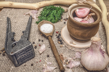 Garlic bulb and cloves, pepper peas, salt, greenery dill on the brown wooden table background. Different Spices. Ingredients for marinade.