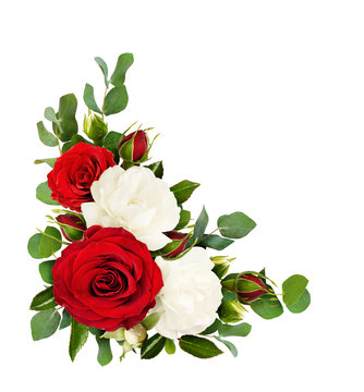 Fototapeta Red and white rose flowers with eucalyptus leaves in a corner arrangement