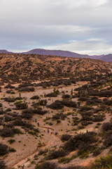 Treeking in Peña Blanca - Humahuaca in Jujuy Province - Argentina