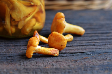 Young mushrooms chanterelles on wooden background