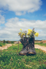 Botas viejas rellenas de flores al aire libre