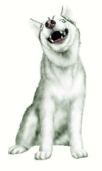 Smiling dog illustration