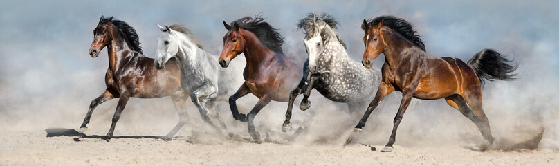 Horses run fast in sand against dramatic sky