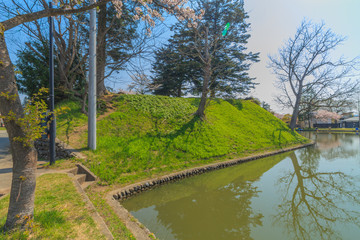 春の新庄城跡の風景