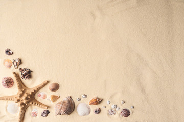 Fototapeta na wymiar Seashells and starfish border on light sand