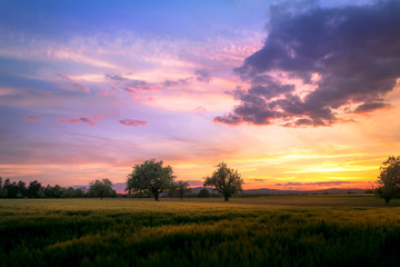 Fototapeta na wymiar Colorful countryside sunet