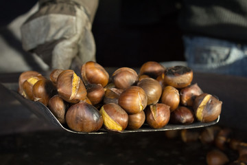 Chestnut Vendor
