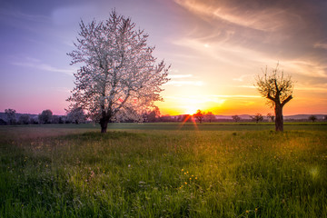 Fototapeta premium Countryside Landscape Sunset