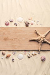 Starfish on wooden pier on sandy beach with seashells
