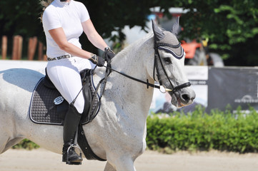 Sportpferd mit Reiterin auf dem Reitturnierplatz, Pferd mit Reiter im Detail 