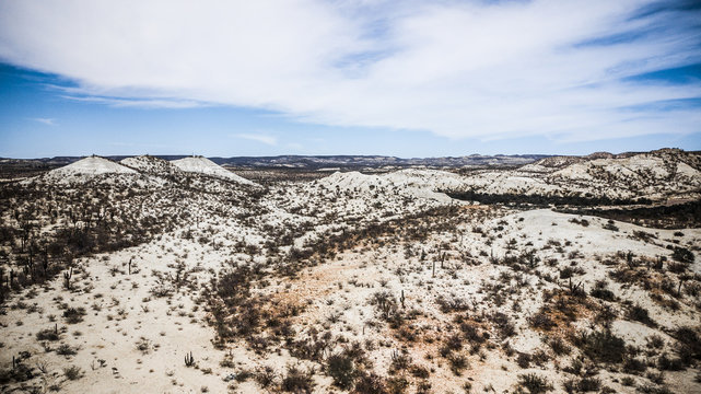 Desert landscape in Mexico