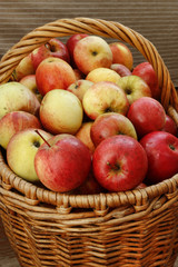 Bright tasty ripe apples in a basket