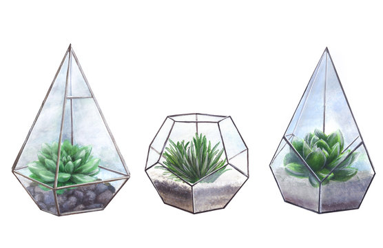 Succulents in geometric florariums