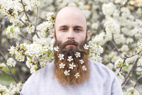 Portrait of hipster with cherry blossoms in beard