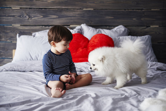 Little boy and puppy together on bed