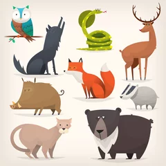 Stickers muraux Zoo Oiseaux et animaux de la forêt