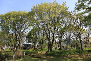 キャンプ場