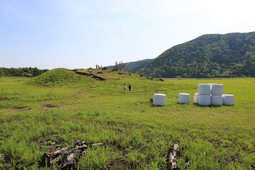 くじゅうタデ原湿原