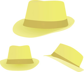 Summer hat. vector illustration