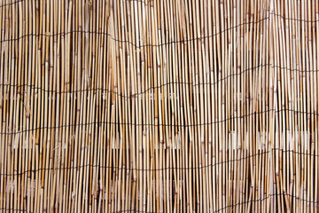 Texture with bulrush stems. Natural vintage texture with organic plants.