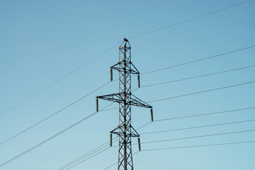 Posts with wires of high voltage on background of blue sky in sunlight. Background image of many wires in sky with copy space. Group of power lines.