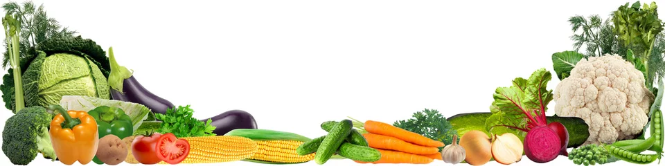 Printed kitchen splashbacks Fresh vegetables banner with a variety of vegetables