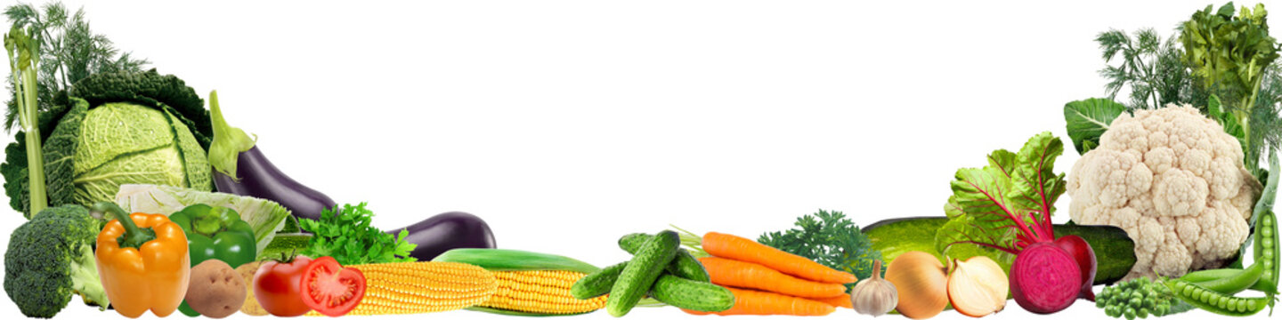Fototapeta banner with a variety of vegetables