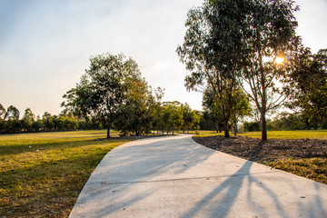 Tree lined driveway