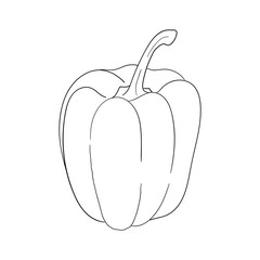 Sweet bbulgarian contour pepper. Vector vintage illustration for menu, poster, web. Isolated on white background. Easy to color