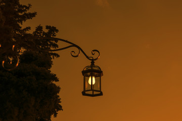 Lamp light 