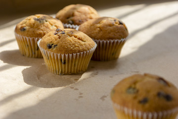 Homemade cupcakes with chocolate lit by the morning sun from the window.