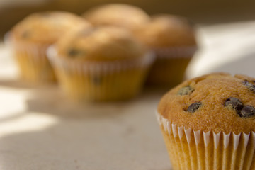 Homemade cupcakes with chocolate lit by the morning sun from the window.