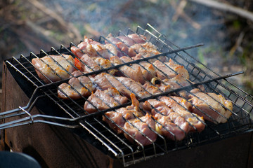 Pieces of meat shish kebab with vegetables are prepared in the grill