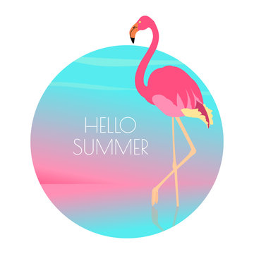 Pink flamingo standing in water on one leg at sunset. Exotic bird made in flat style. Hello summer vacation concept. Vector illustration.