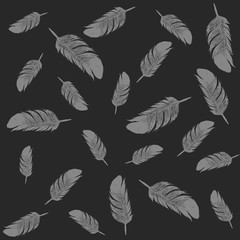 Pattern with gray feathers on black background.