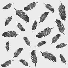 Pattern with black feathers on white background.