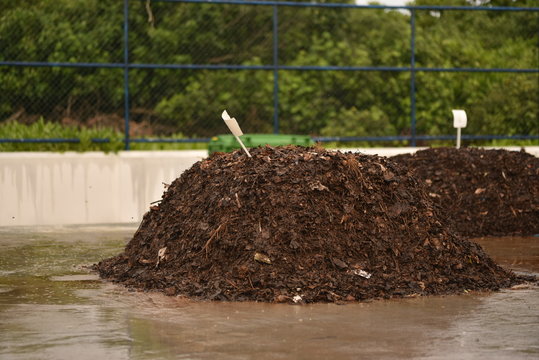 Piles of compost  in an open air composting facility