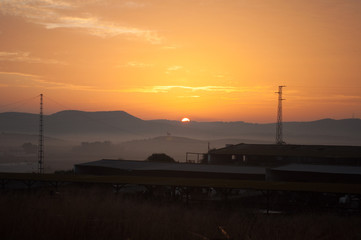 Stier vor Sonnenuntergang