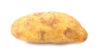 potato on white background