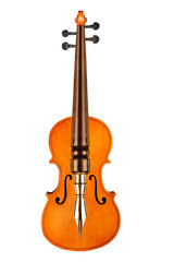Obraz na płótnie Canvas Writing music for violin