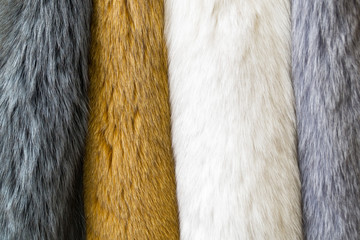 Fur, colored naturar fur texture. Closeup photo.