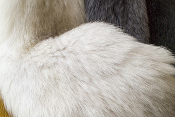 Fur, white naturar fur texture